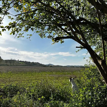 Le Moulin A Eau, Coeur Occitanie Semesterbostad *